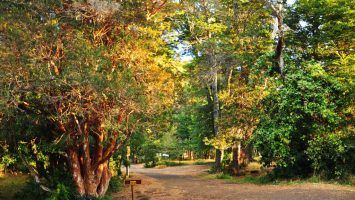 5 Parques Nacionales para recorrer en bici