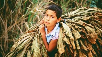 Dia Internacional contra la Esclavitud Infantil