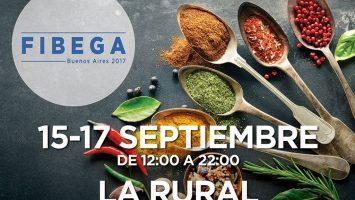 FIBEGA 2017