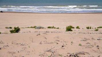 Iniciativas Oceánicas