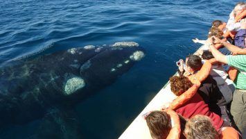 Península Valdés finalista