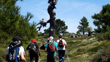 Trekking en Los Antiguos