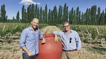 Vino en la Patagonia Argentina